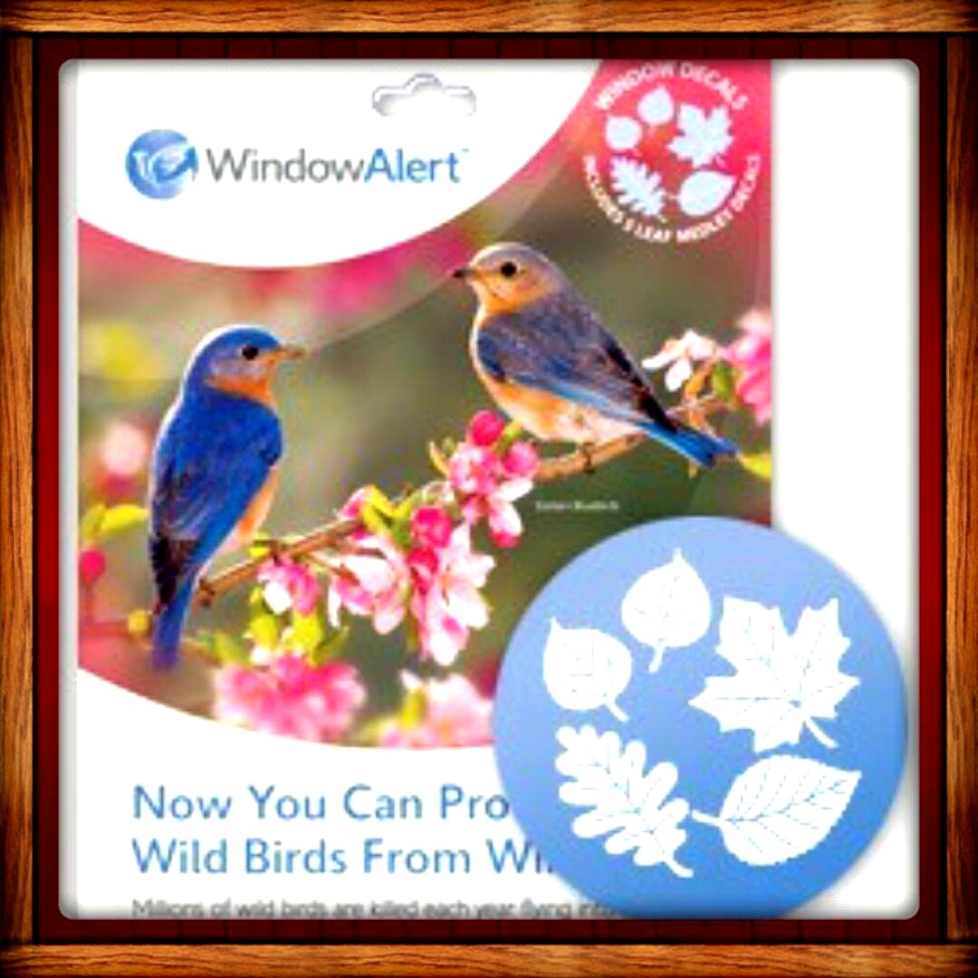 Window Alert ANTI-COLLISION CLINGS LEAF DECALS SAVE PREVENT BIRD WINDOW STRIKES gallery