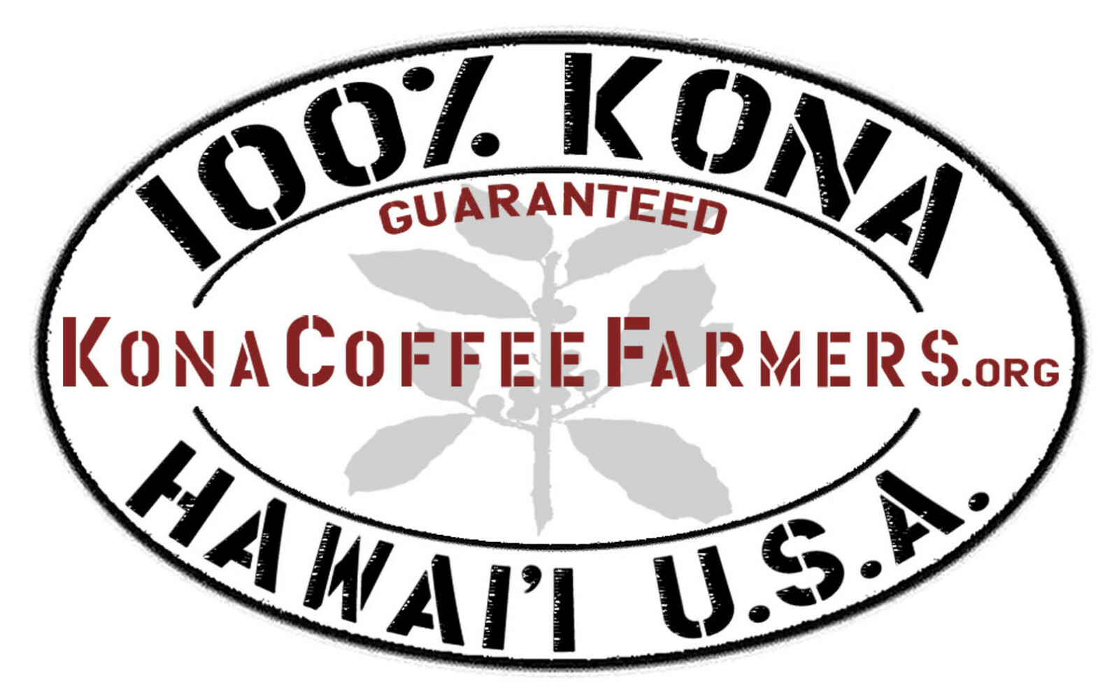 Kona 100% Hawaiian Coffee Beans Dark Roasted Daily 10 - 1 Pound Bags gallery