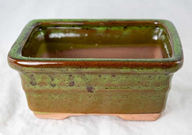 6" Rectangular Glazed Moss Green Cactus & Succulent, Bonsai Pot - Pot/Combo/Kit gallery