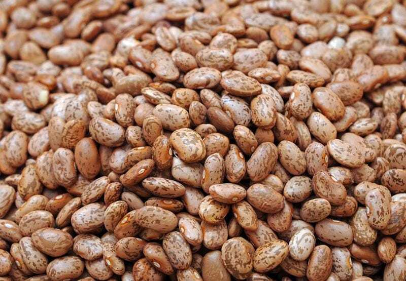 Pinto Bean Seeds gallery