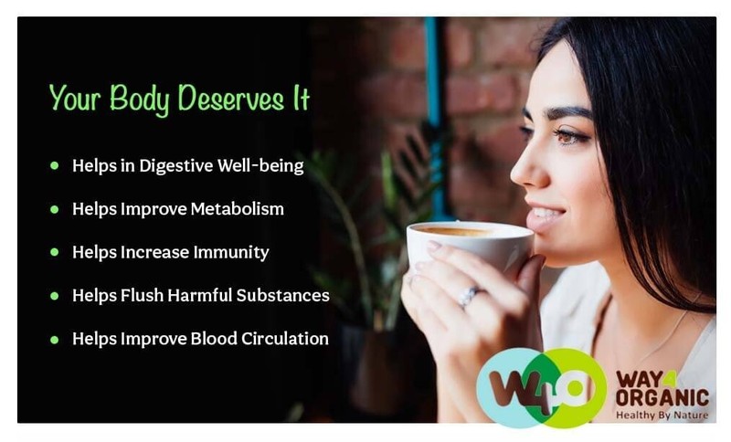 Detox & Digest CCF Tea – 8 oz – Ginger, Turmeric, Licorice Blend - Herbal Leaf gallery