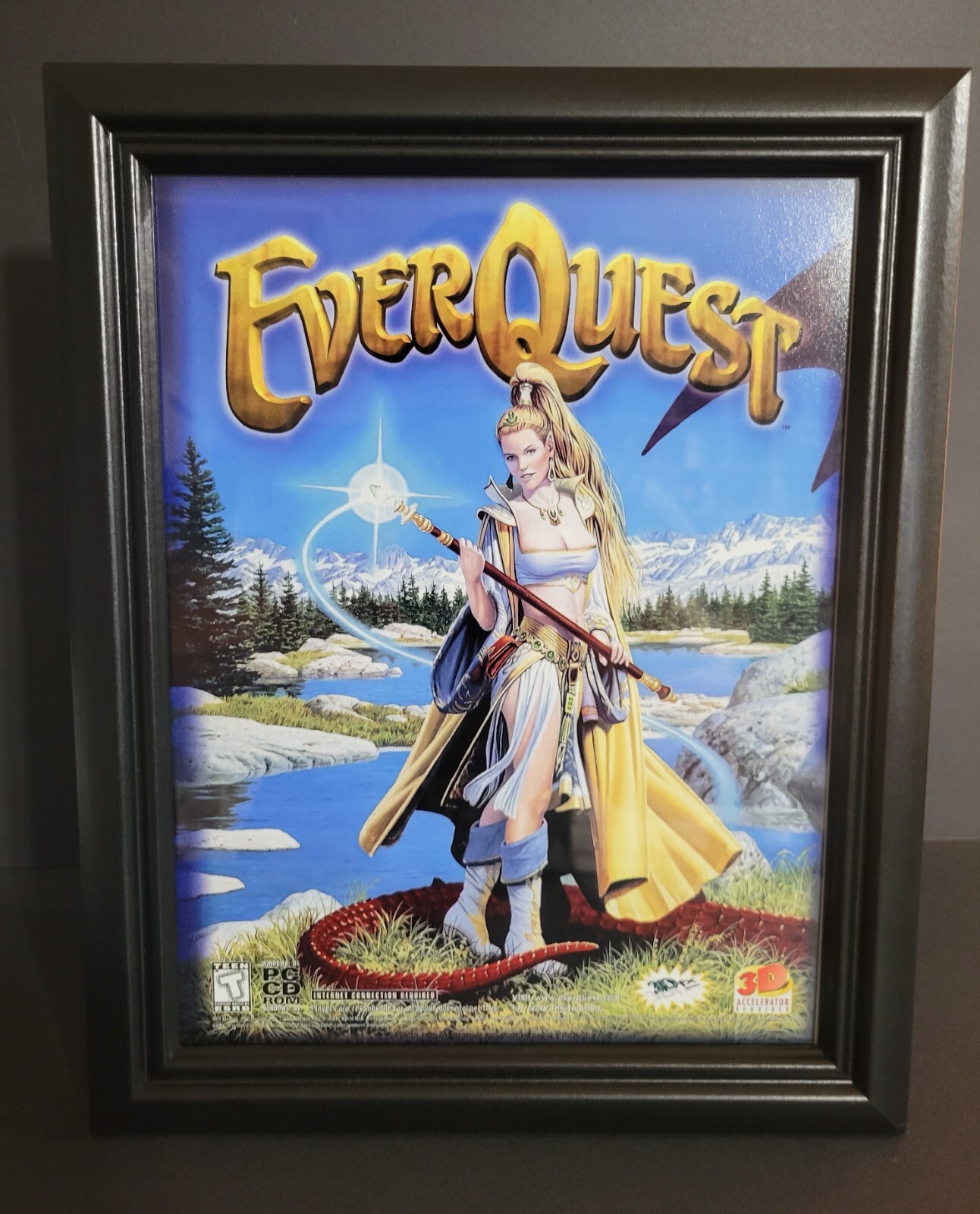FRAMED - Everquest (The Original) PC Game 1998 Big Box Game Art Print Poster gallery
