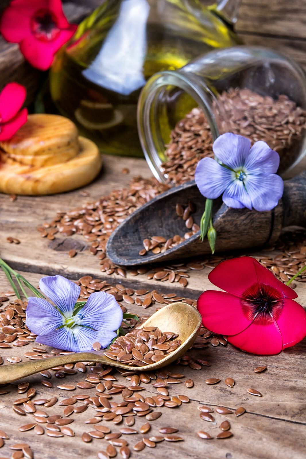 Blue Linen Flax Flower 2000+ Seeds | Blue/Purple Linseed Perennial Wildflower gallery
