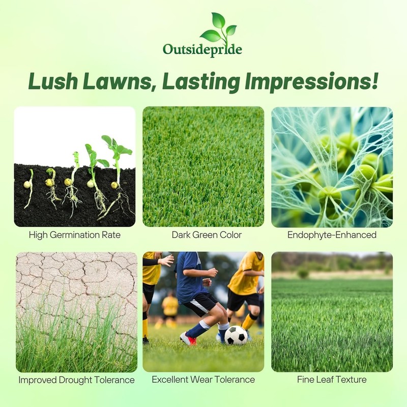 5 LBS - OptiGrowth Coated Fireball & Hattrick Grass Seed - Perennial gallery
