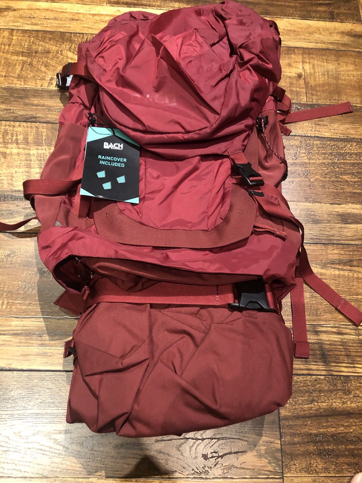Bach Pack Daydream 50 Short