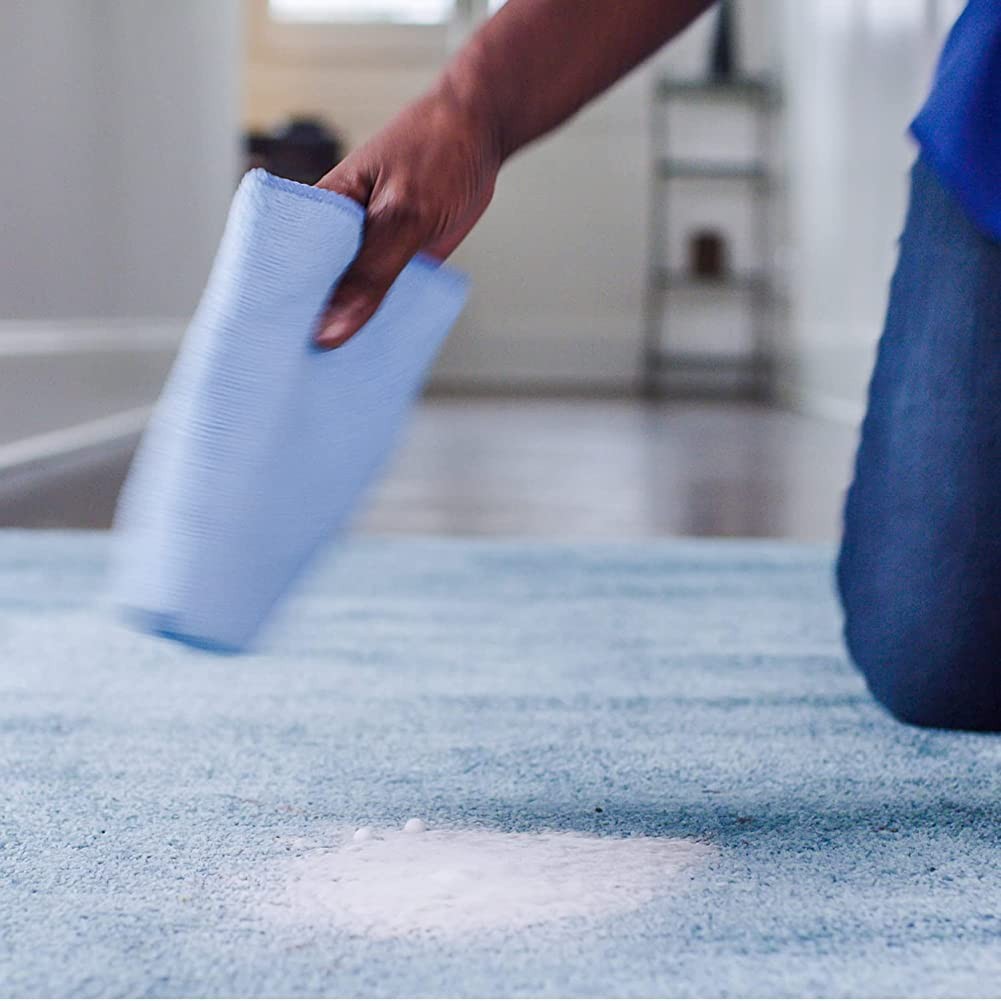 Professional Strength Carpet Upholstery Stain Remover 19 Fl Oz Spray Cleaner gallery