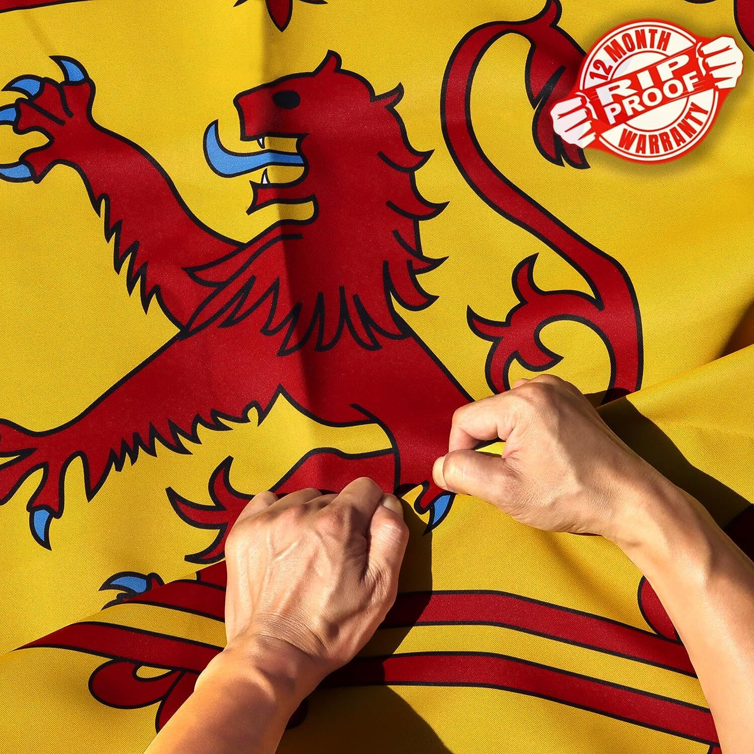 Anley Rip-Proof Double Sided 3-Ply Scotland Rampant Lion Flag 3x5 Foot gallery