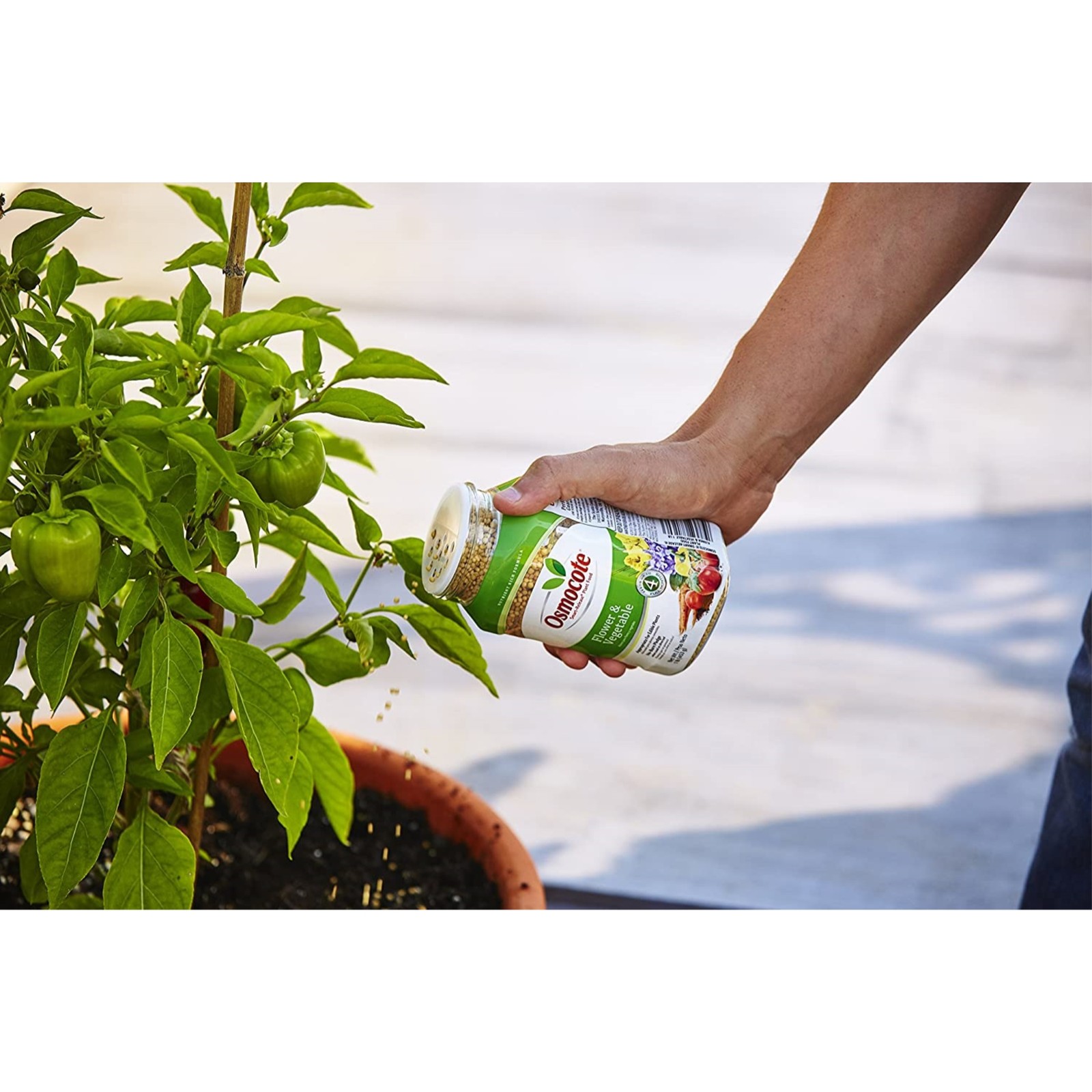 Osmocote Flower and Vegetable Smart-Release Plant Food - 1 Lbs gallery