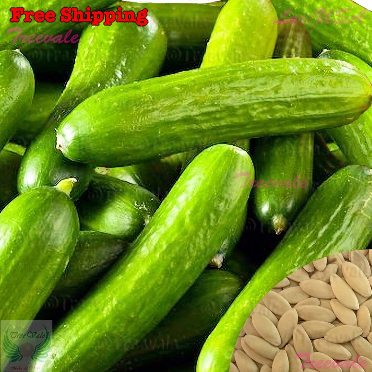 Tendergreen Burpless Cucumber, Burpless Sweet Cucumber SEEDS | Vegetable Seeds gallery