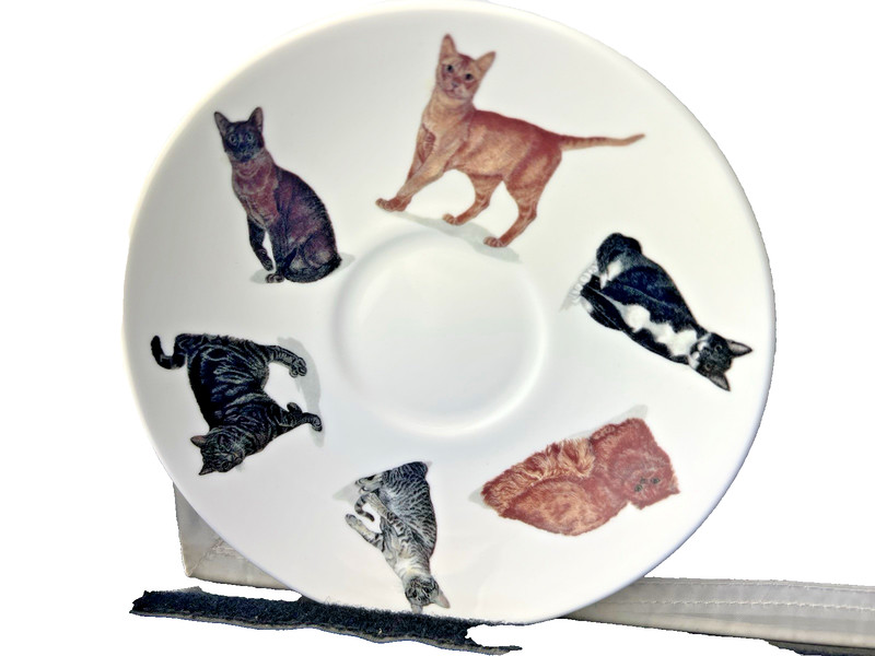 CATS GALORE , BONE CHINA BREAKFAST CUP SAUCER, KIRKHAM MADE ENGLAND NEW UNUSED gallery