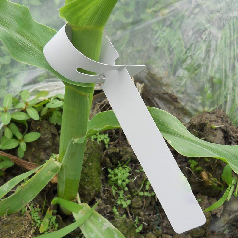 200Pcs Plastic Plant Labels Wrap Around Tree Tags Adjustable White gallery