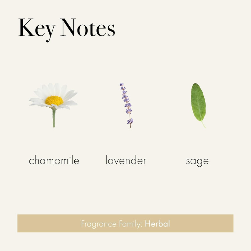 Classic Reed Diffuser, Chamomile Lavender - 6 Oz, Pack of 2 - up to 3 Months Fra gallery