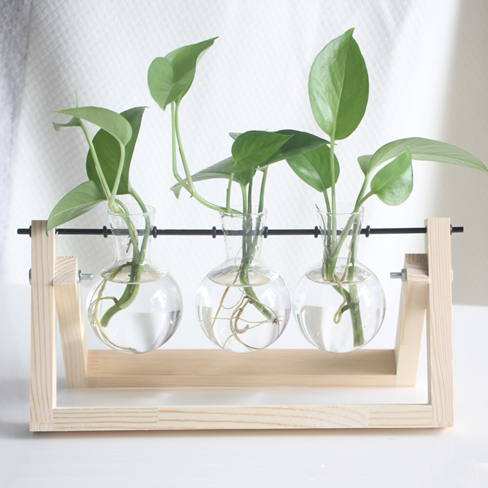 Plants Propagation Stations Hydroponic Plant Transparent 3 Bulb Vase Home Decor gallery