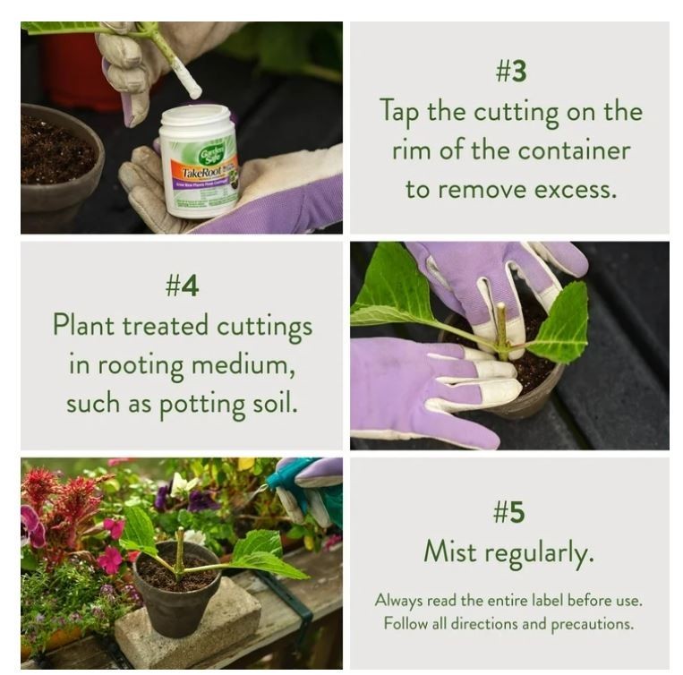 Garden Safe Take Root Rooting Hormone, 2-Ounce gallery