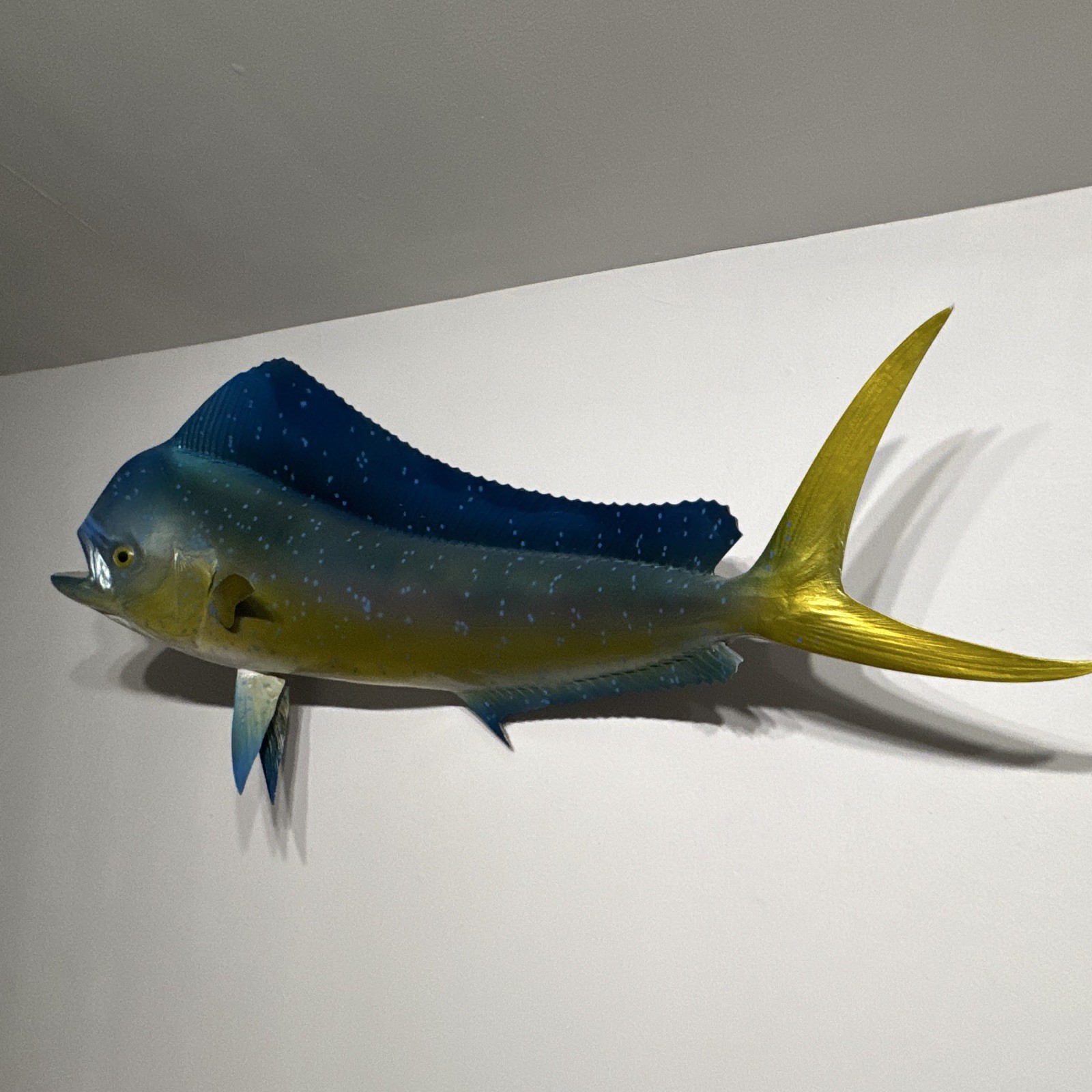 Blue Yellow Fish Wall Hanging Decor 19x44x8 in gallery