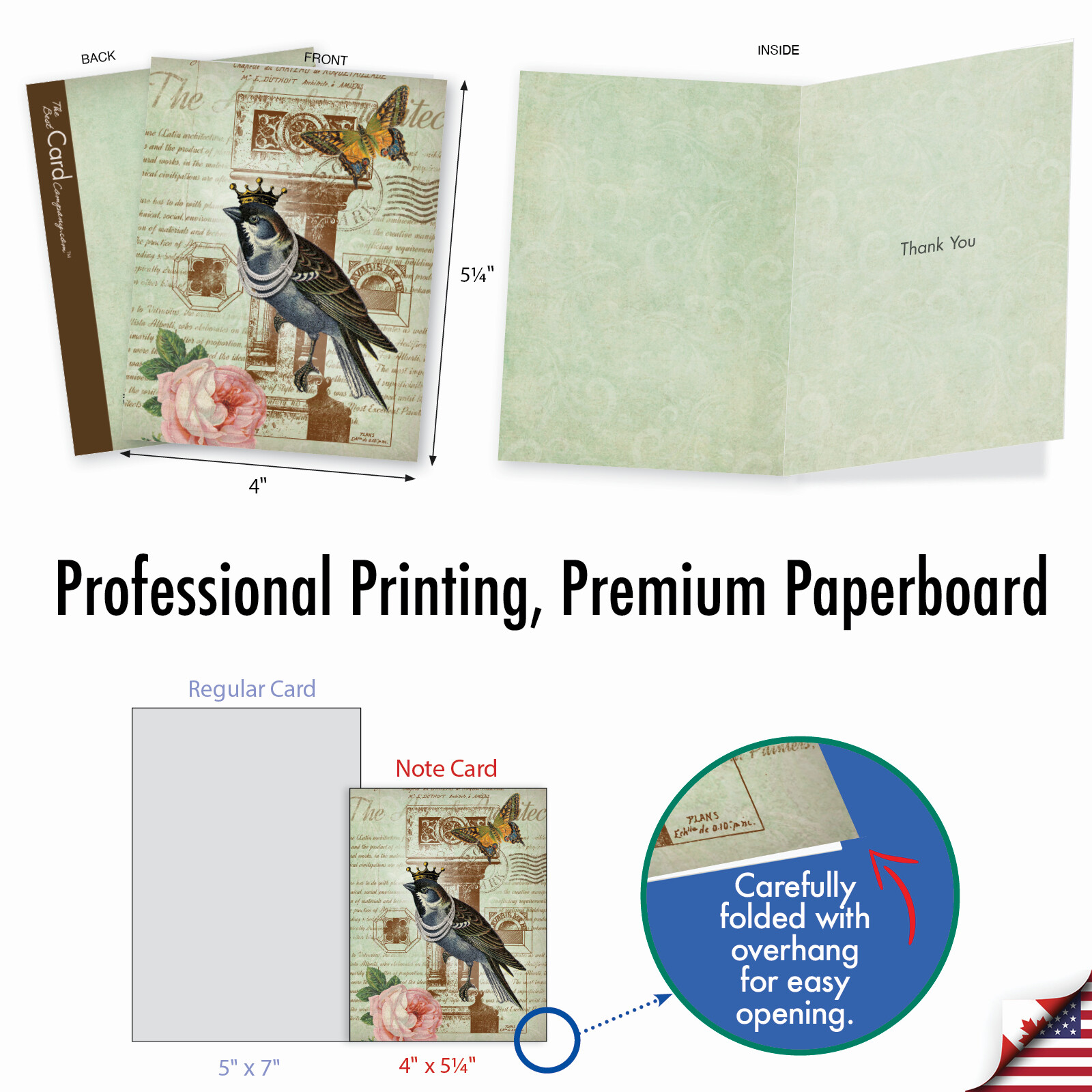10 Assorted All Occasion Blank Note Cards with Envelopes - ROYAL BIRDS M2343OCB gallery