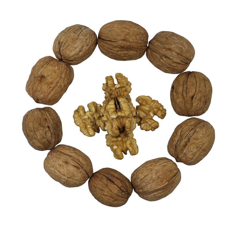 FirstChoiceCandy whole walnuts enclosed within their Shell gallery