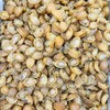 Premium Dried Abalone 80 头 野生南美小干鲍鱼 8oz - 16 oz gallery