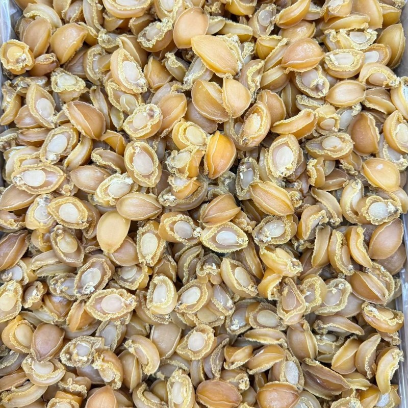 Premium Dried Abalone 80 头 野生南美小干鲍鱼 8oz - 16 oz gallery