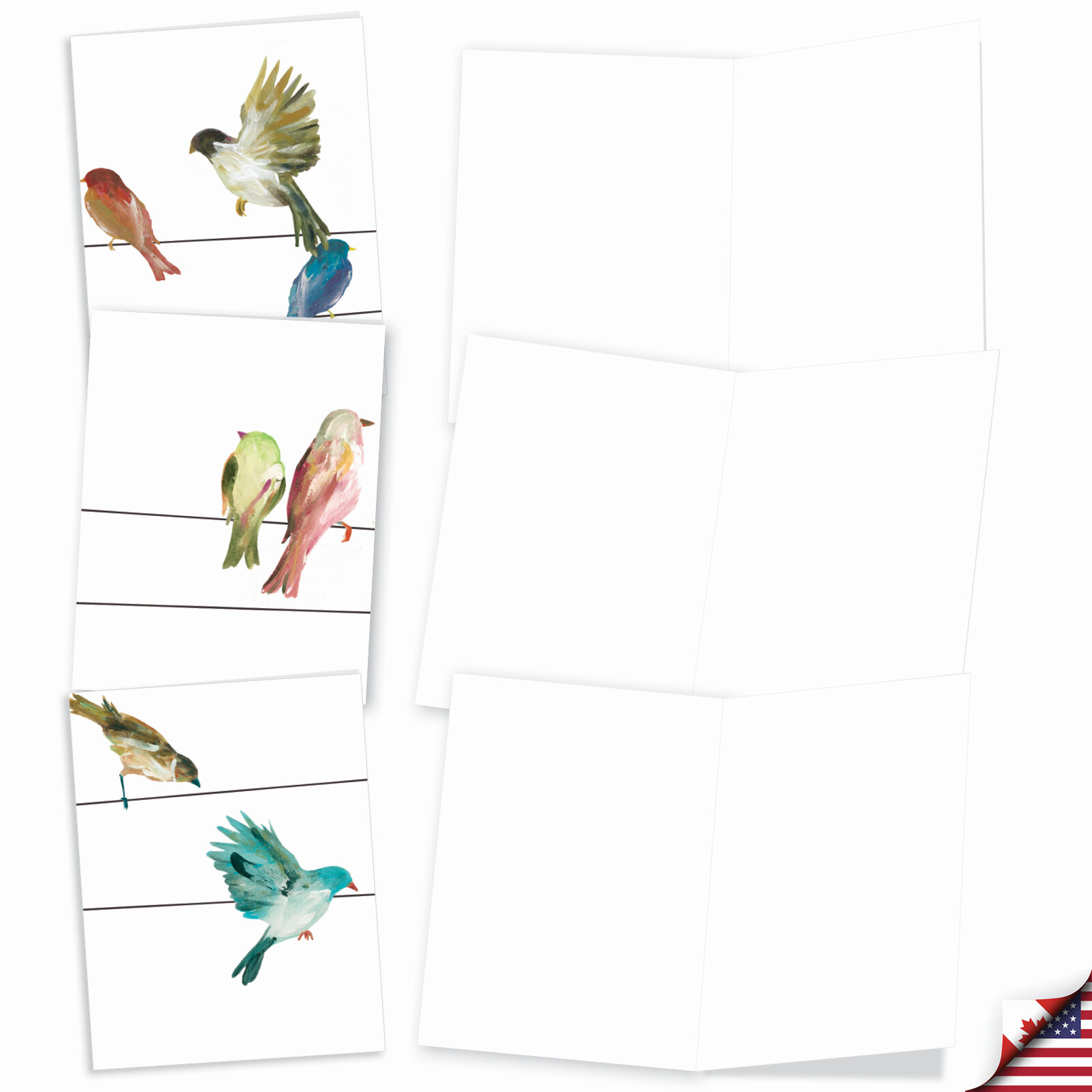 10 All Occasion Blank Cards Assortment - HIGH WIRE BIRDS M3318 gallery