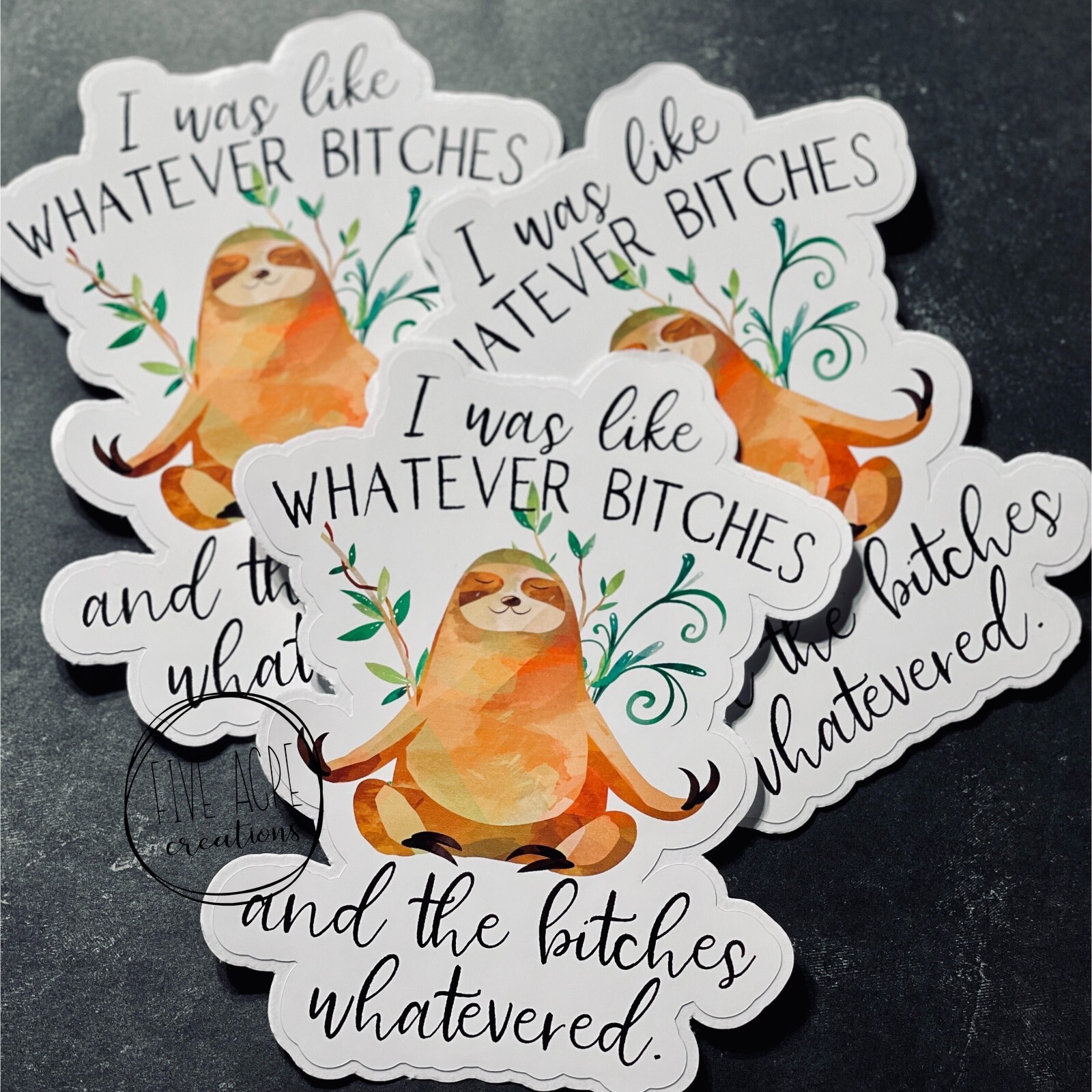 Cute Funny Sloth Whatever Bitches Waterproof & Weatherproof Vinyl Sticker gallery