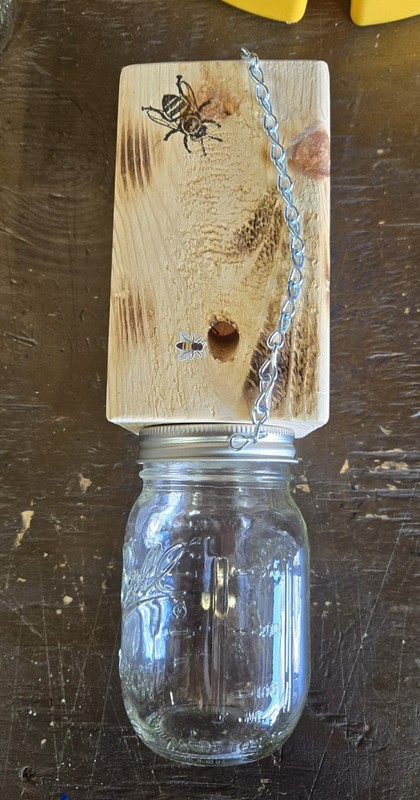 CARPENTER 'BORE' BEE TRAPS THAT WORK! gallery