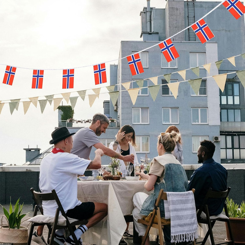 Norway Flag Norwegian Flag, Small String Norway Flags Mini Norwegian Flags Banne gallery