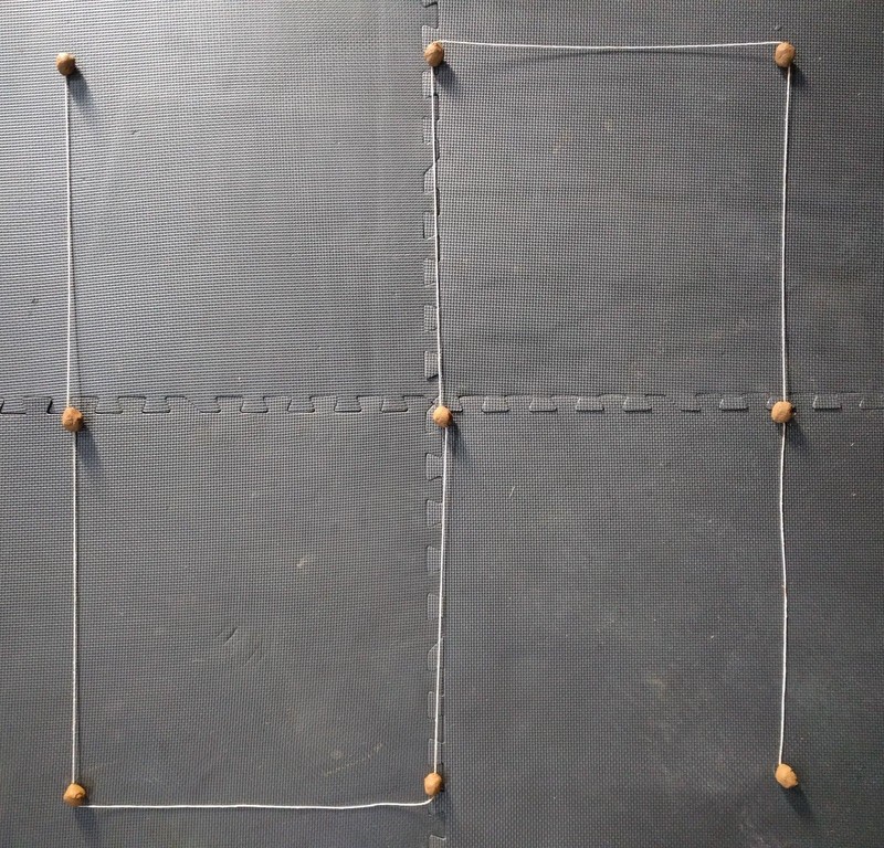 Common Milkweed Pollinator Seed Plot Strings, 9 Seed/Clay balls Per string gallery