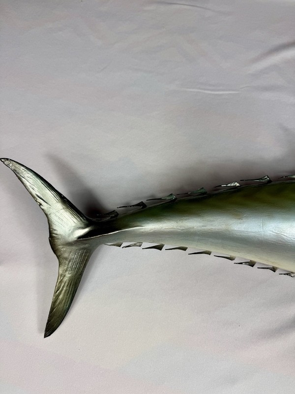 Kingfish - Half Mount Fish Replica - 32 Inches Long gallery