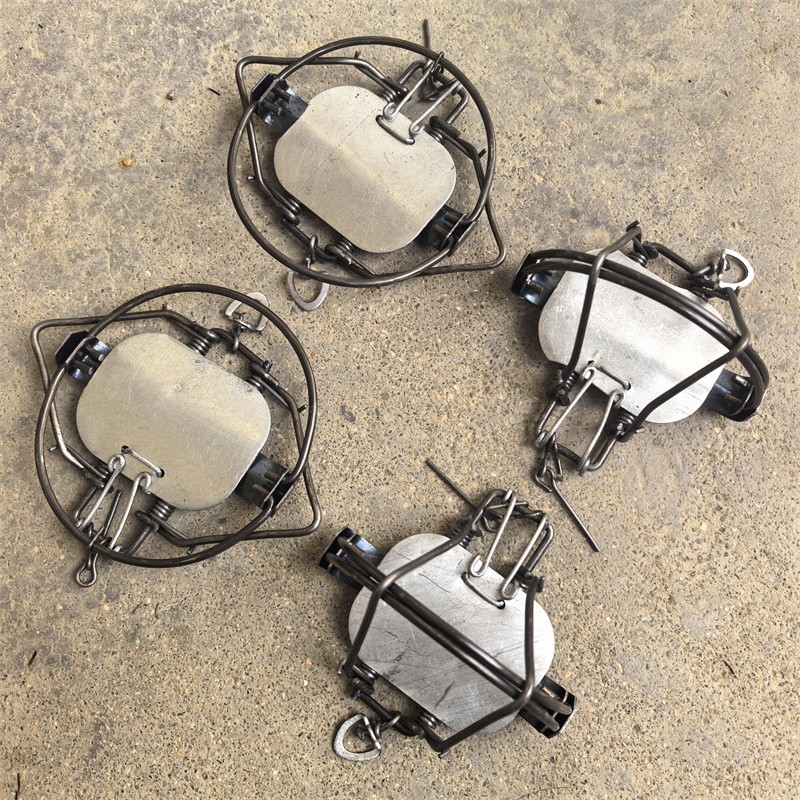 4 Units 4-3/10" Coil Spring Traps Lynx Coyote Bobcat Mouse Rabbit Rat Trapping gallery
