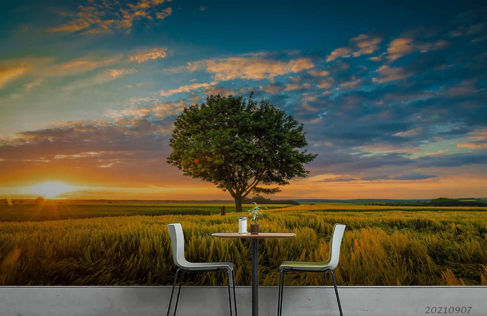 3D Tree Field Sunrise Landscape Wallpaper Wall Murals Removable Wallpaper gallery