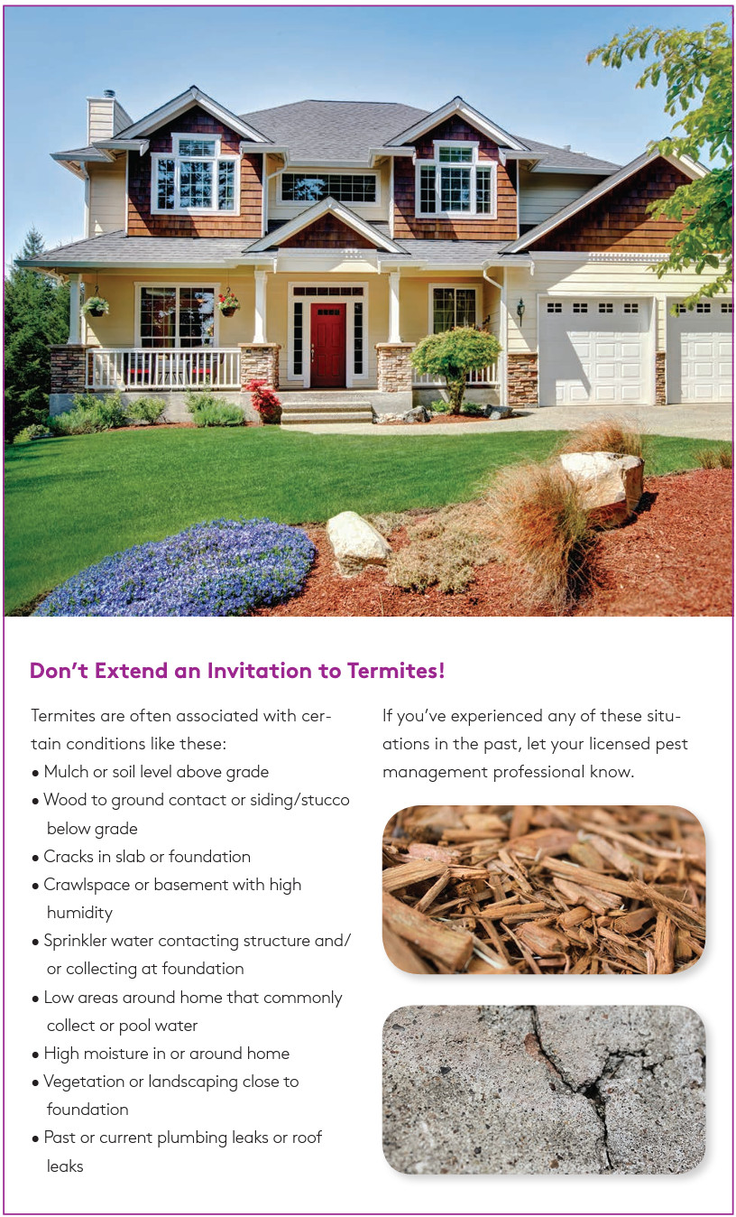 Taurus SC Insecticide (Ant & Termite Control) - 78 Oz. (Generic Termidor SC) gallery