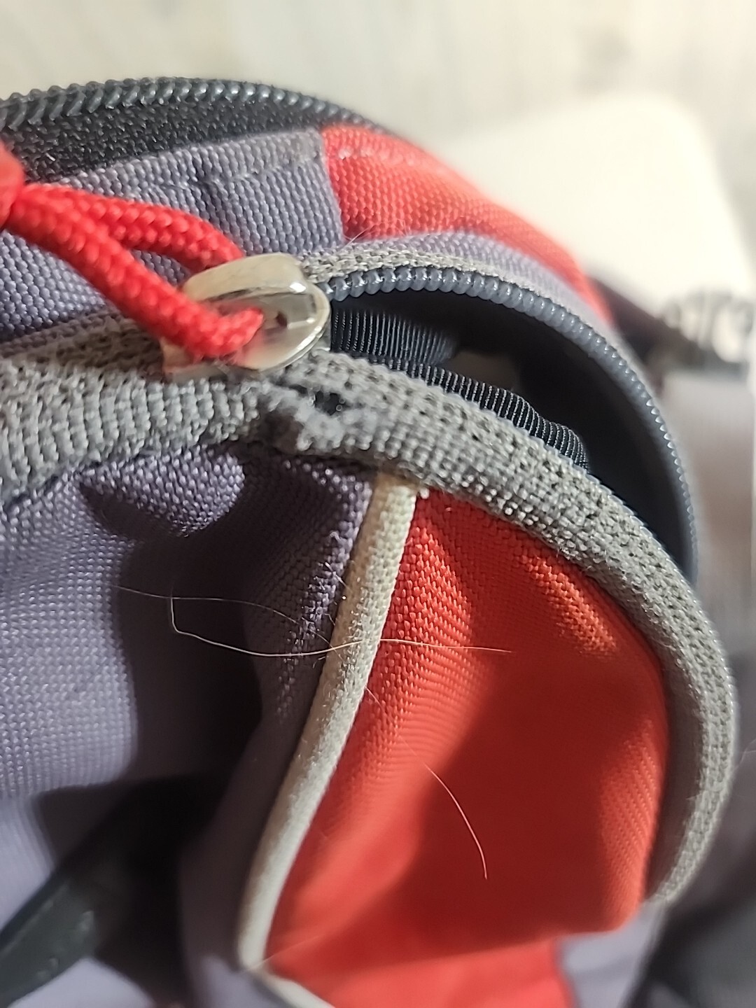 The North Face Wasatch Red  Backpack 5