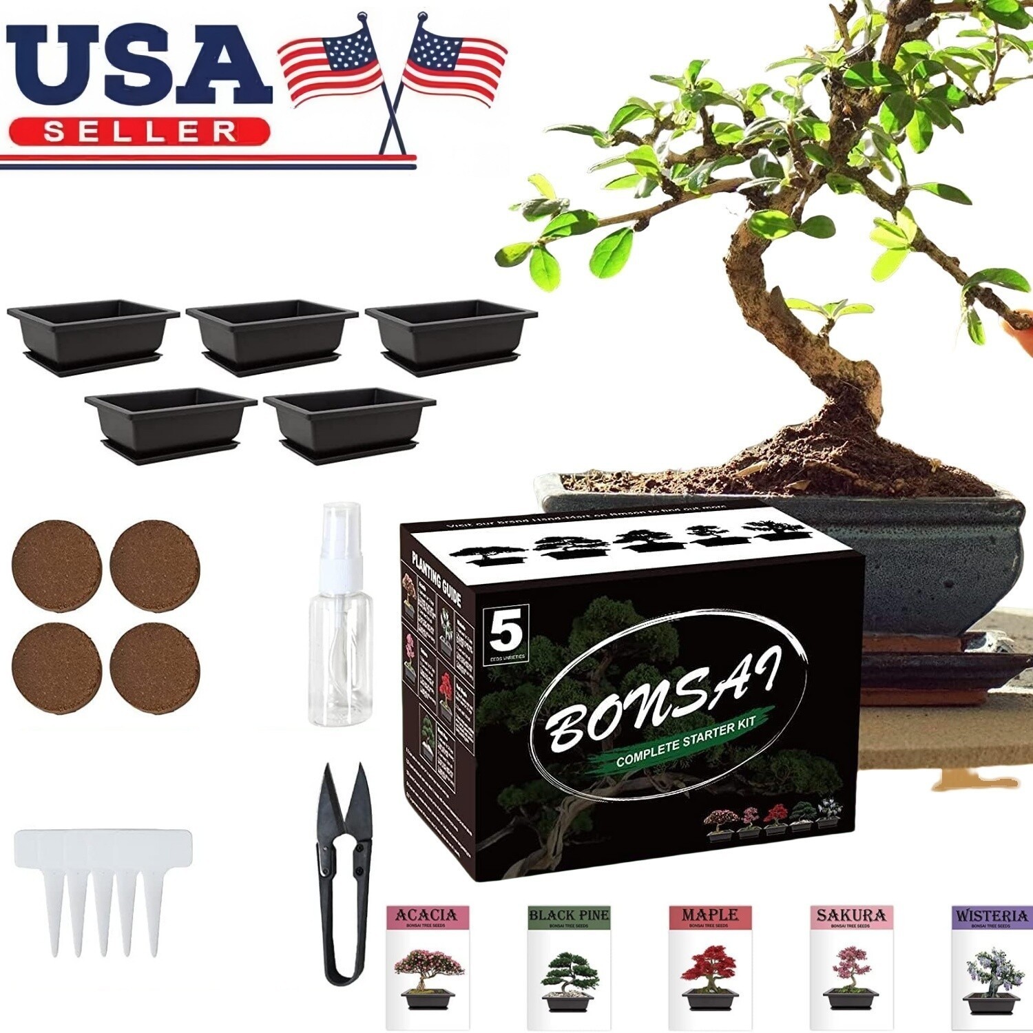 5 Bonsai Tree Kit Complete Plant Growing Tools, Indoor Gardening Potted DIY Gift gallery
