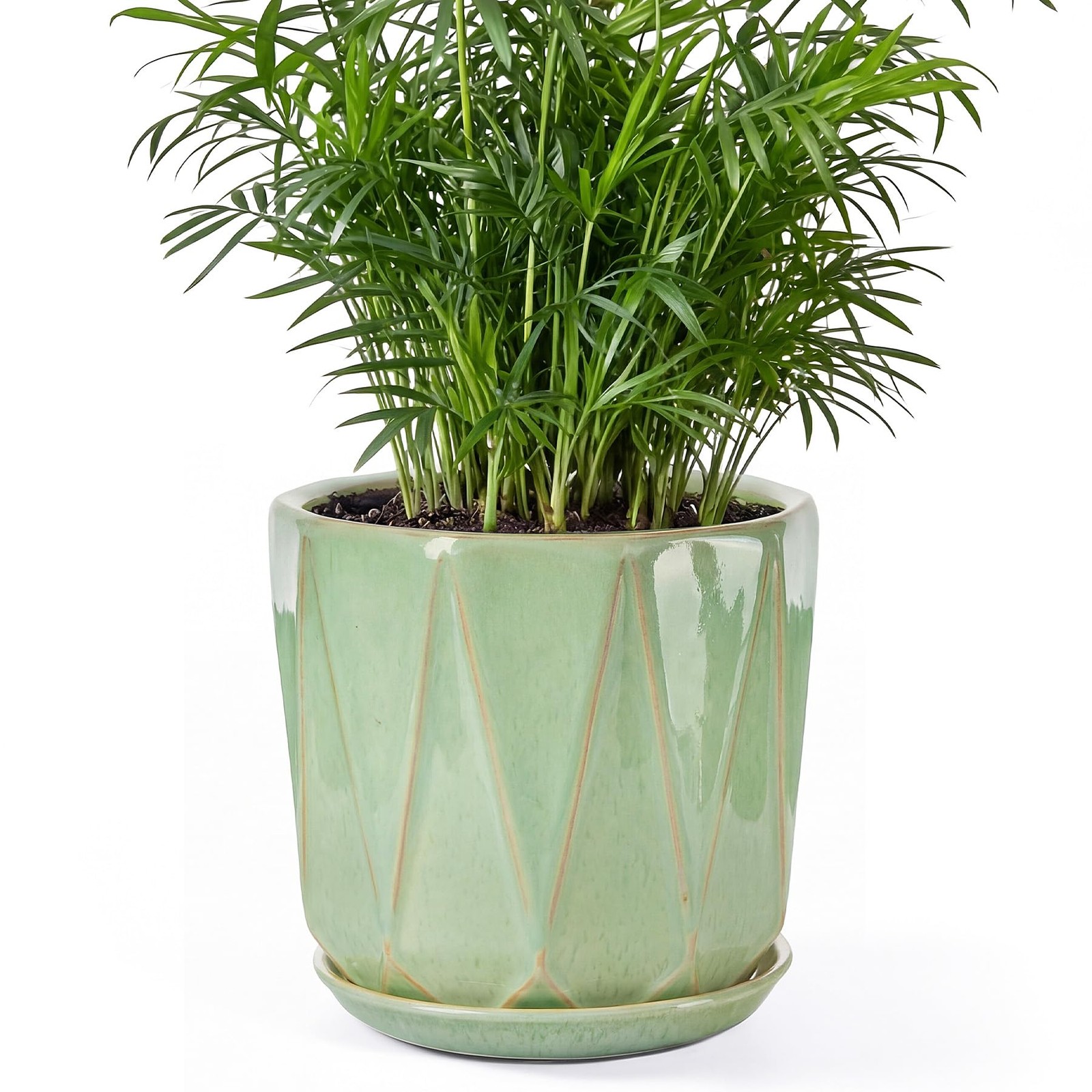 7.8 Inch Ceramic Plant Pot with Drainage Hole Mesh Net, Large Flower Pots for... gallery