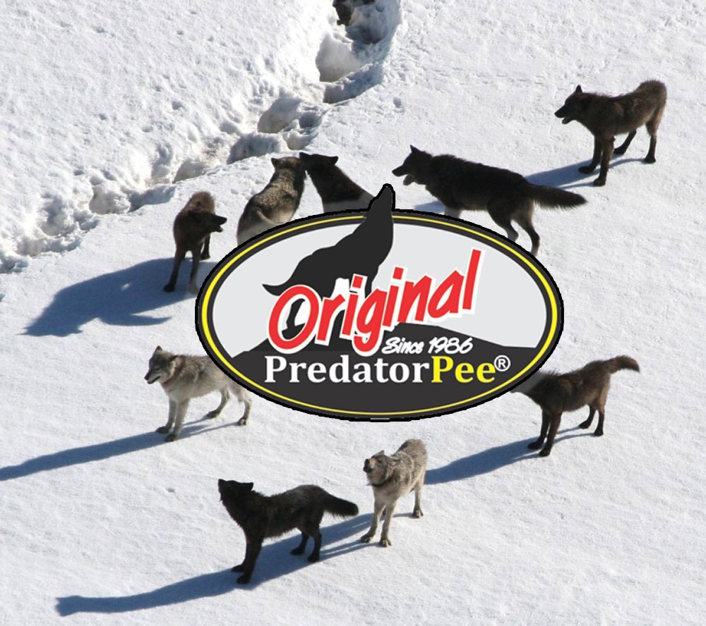 Predator Pee 100% Wolf Urine - Territorial Marking Scent - Creates Illusion gallery