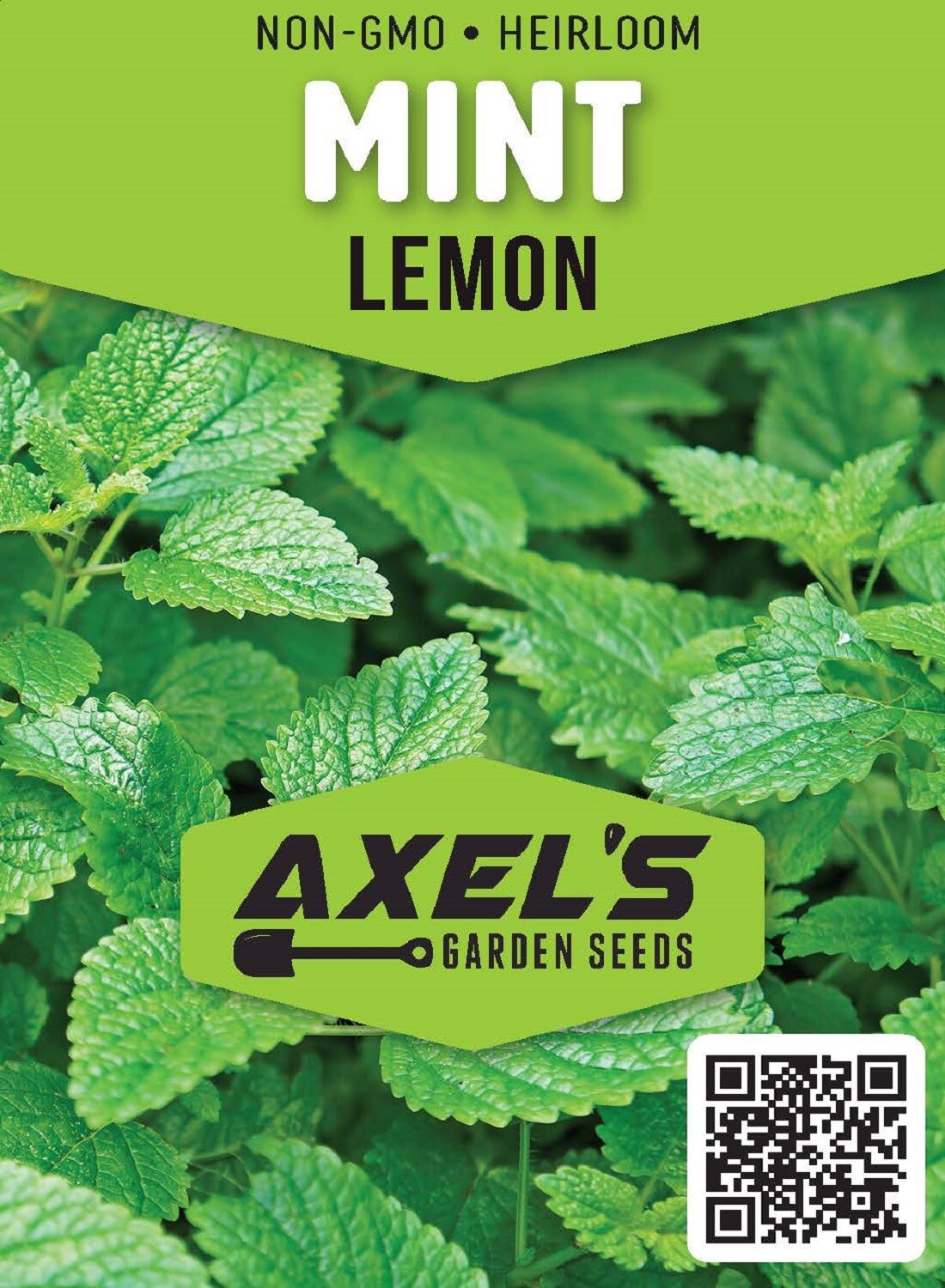Lemon Mint Seeds | Non-GMO | Heirloom | Fresh Herb Garden Seeds gallery