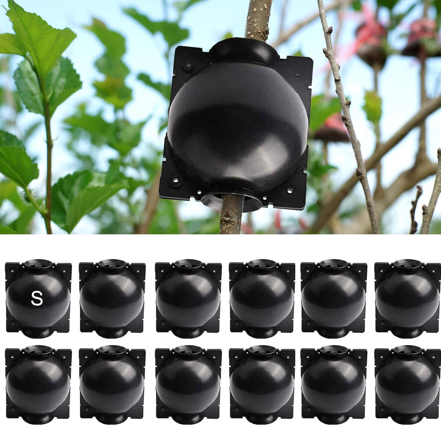 12 PCS Plant Root Growing Box, Reusable Air Layering Propagation Kit Plant Rooti gallery