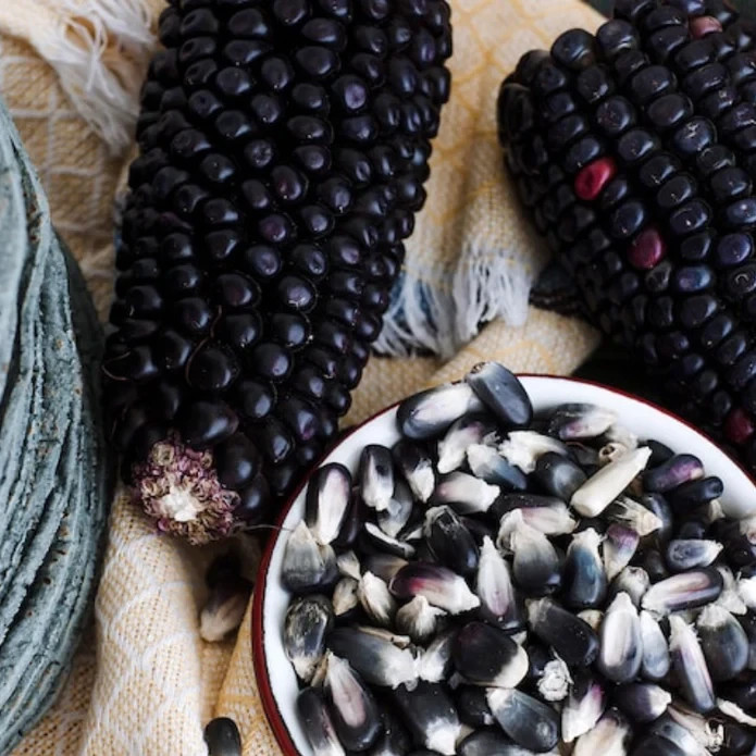 50 Purple Corn Seeds – Rare Deep Violet Variety for Unique Garden & Fall Display gallery