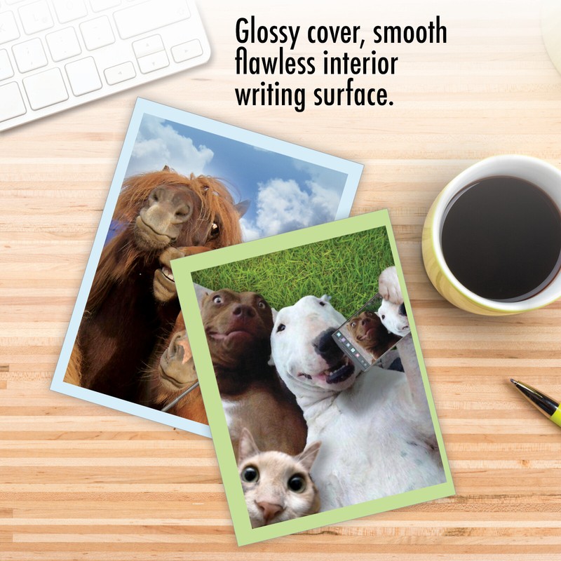 10 Assorted All Occasion Blank Note Cards - ANIMAL SELFIES M2373OCB gallery