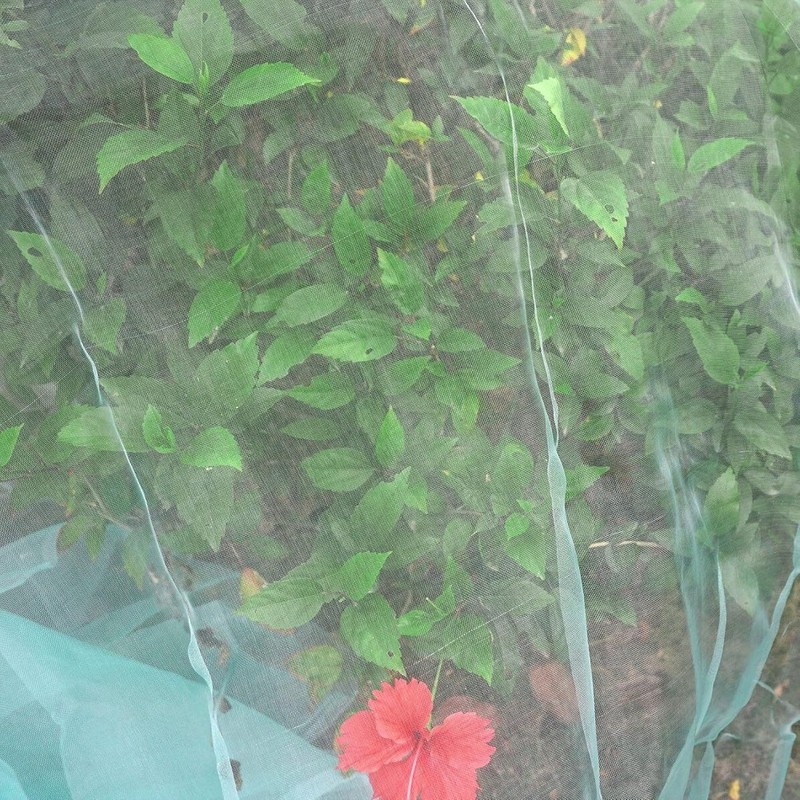 33~65ft Mosquito Garden Bug Insect Netting Barrier Bird Net Plant Protect Mesh gallery