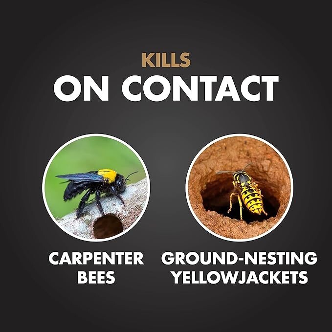 Spectracide Carpenter Bee & Nesting Yellowjacket Killer Spray 16Oz Each gallery