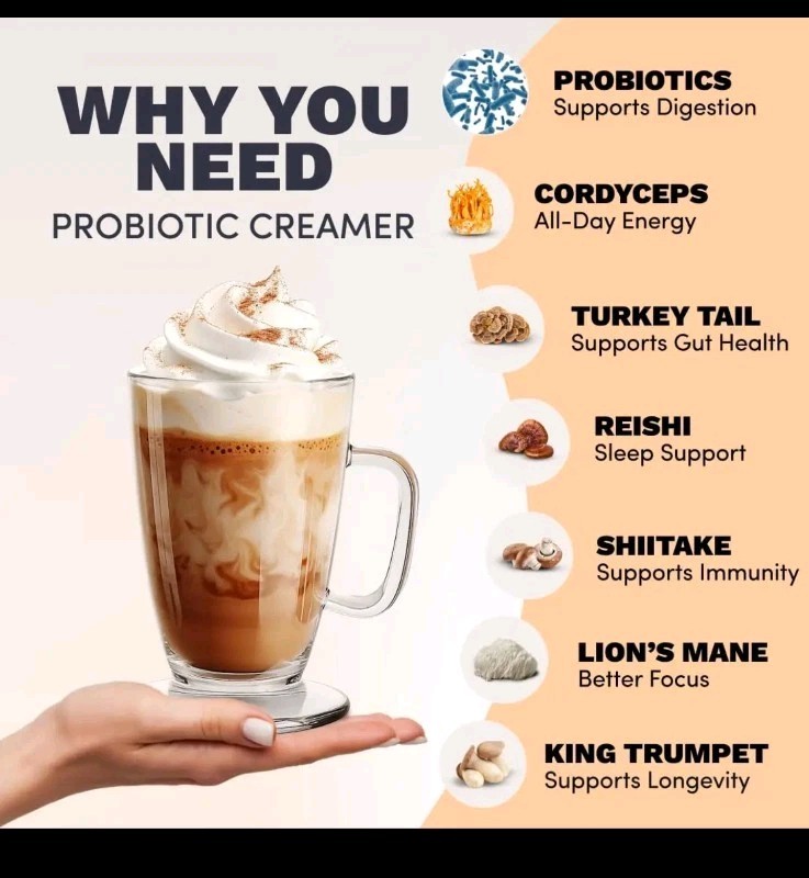 (1) Probiotic Coffee Creamer Vanilla w/ 6 Mushrooms Organic 30 Servings gallery