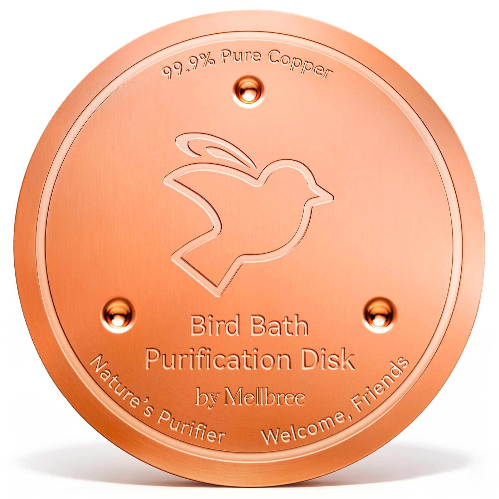 0.6mm Pure Copper Bird Bath Cleaning Disk - All-Season Universal Fit for Outdoor gallery