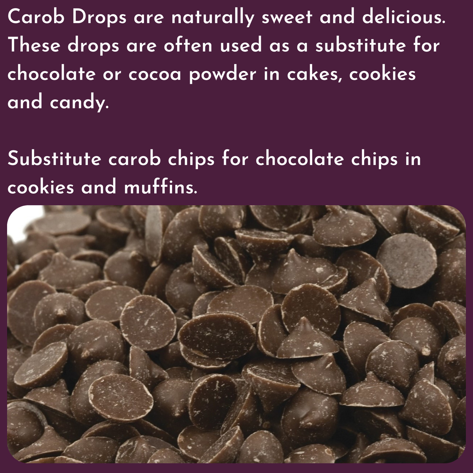 Unsweetened Carob Chips - Pick a Size - Free Expedited Shipping! gallery