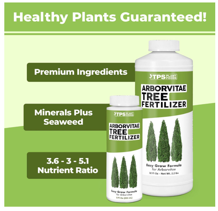 Arborvitae Tree Fertilizer for All Arborvitaes, Evergreen Shrubs and Thuja Trees gallery