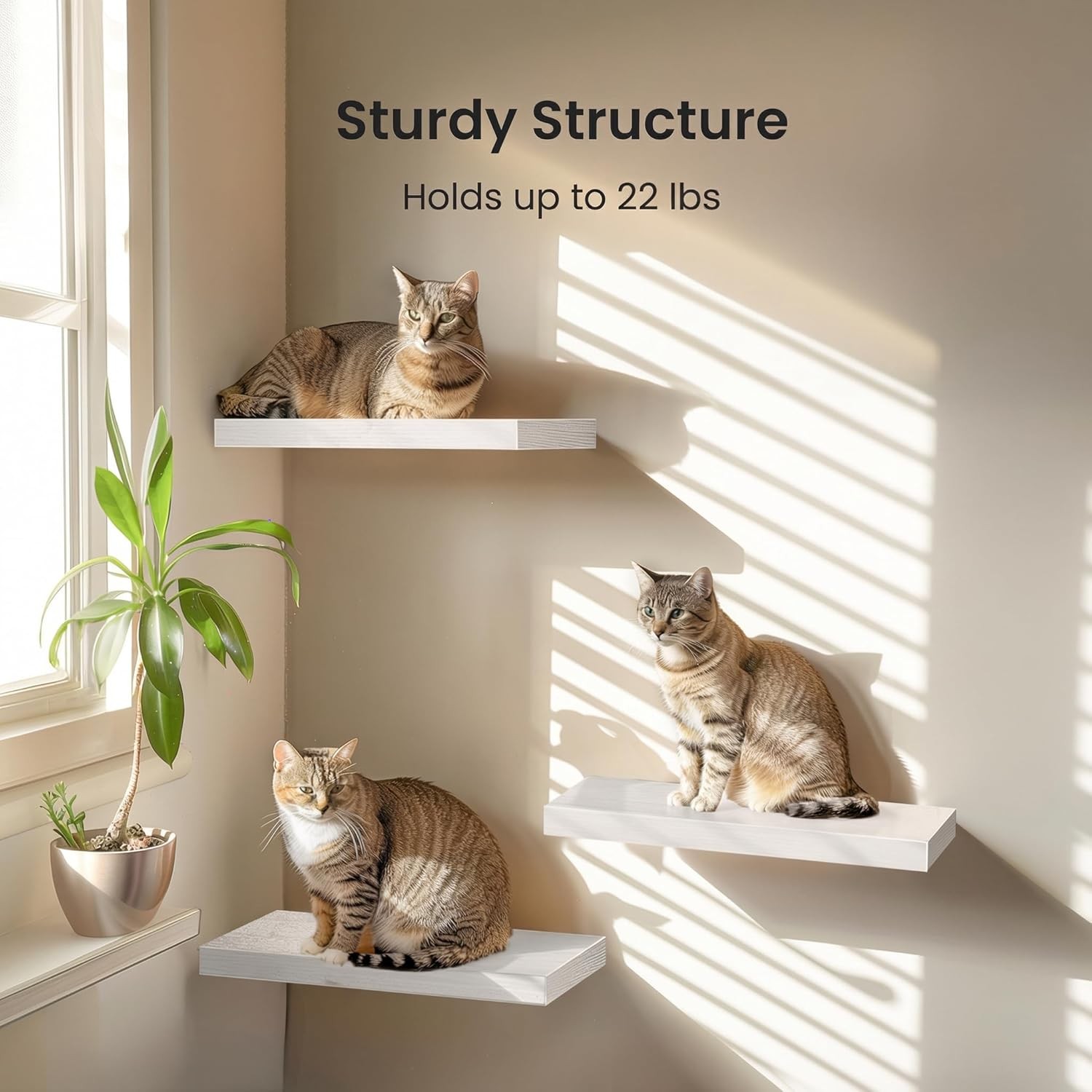 AMADA HOMEFURNISHING Floating Shelves White Set of 3 Invisible Brackets gallery