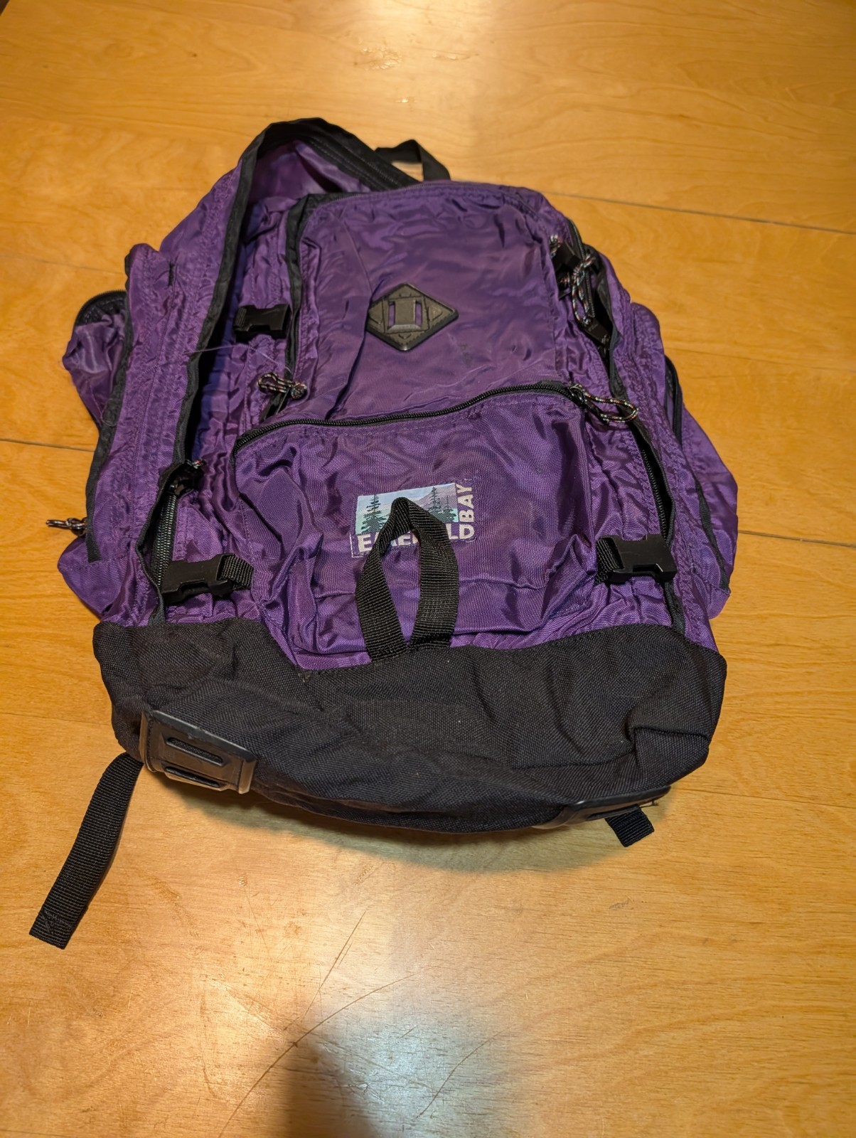 Emerald Bay Hiking Backpack With Removable Metal Braces 