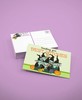Halloween - Sending You Best Witches - 40 Postcards 4 x 6 inches - 17045 gallery