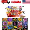 Attract Bees, Birds & Butterflies with 65,000 Heirloom Wildflower Seeds - 4 oz gallery